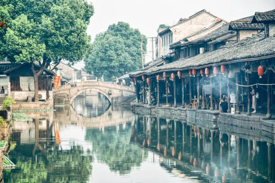 包被猫抓了怎么补救